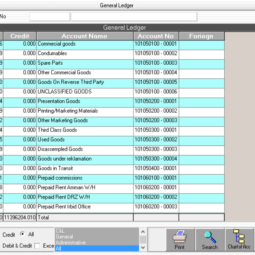 General Ledger